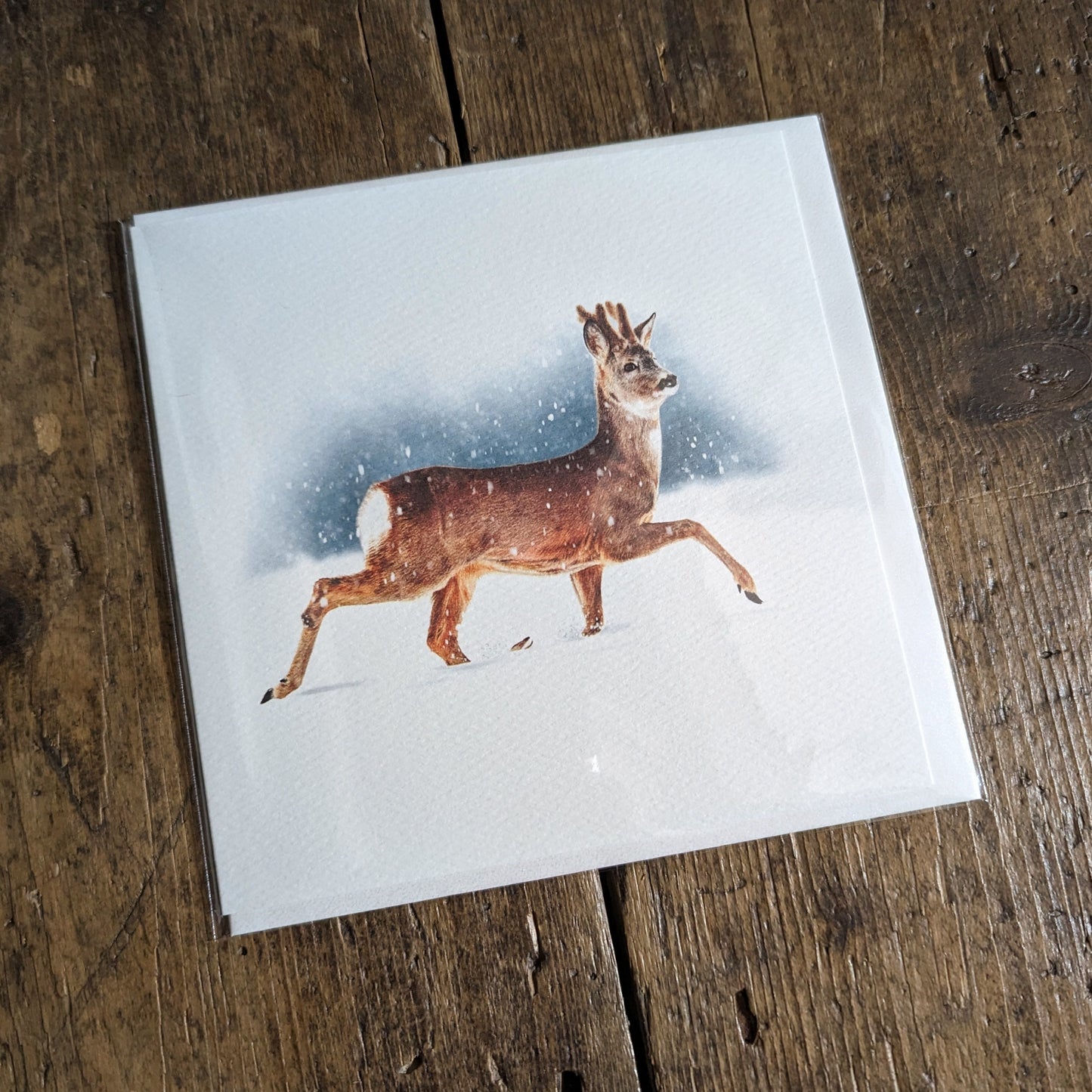 "Velvet" Christmas Card