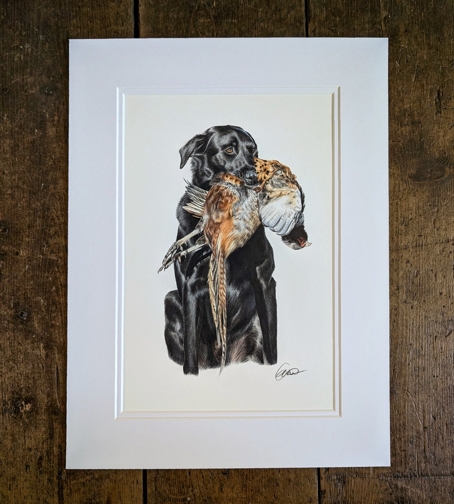 Lab & Pheasant Mounted *Original*