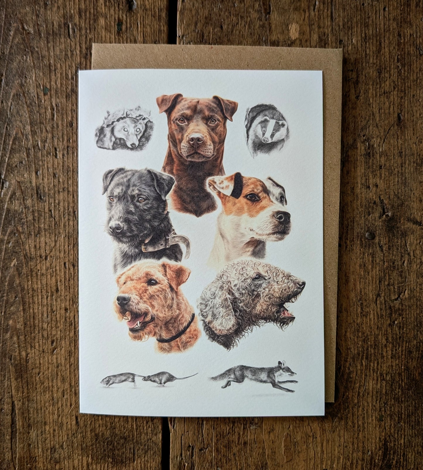 The Terriers" Greeting Card