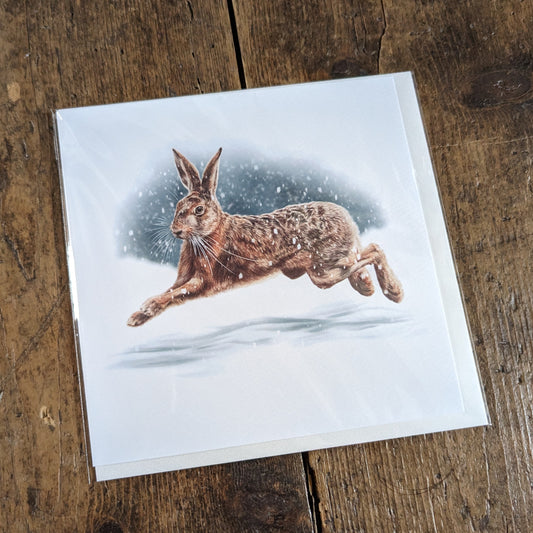 Snowy Hare Christmas Card