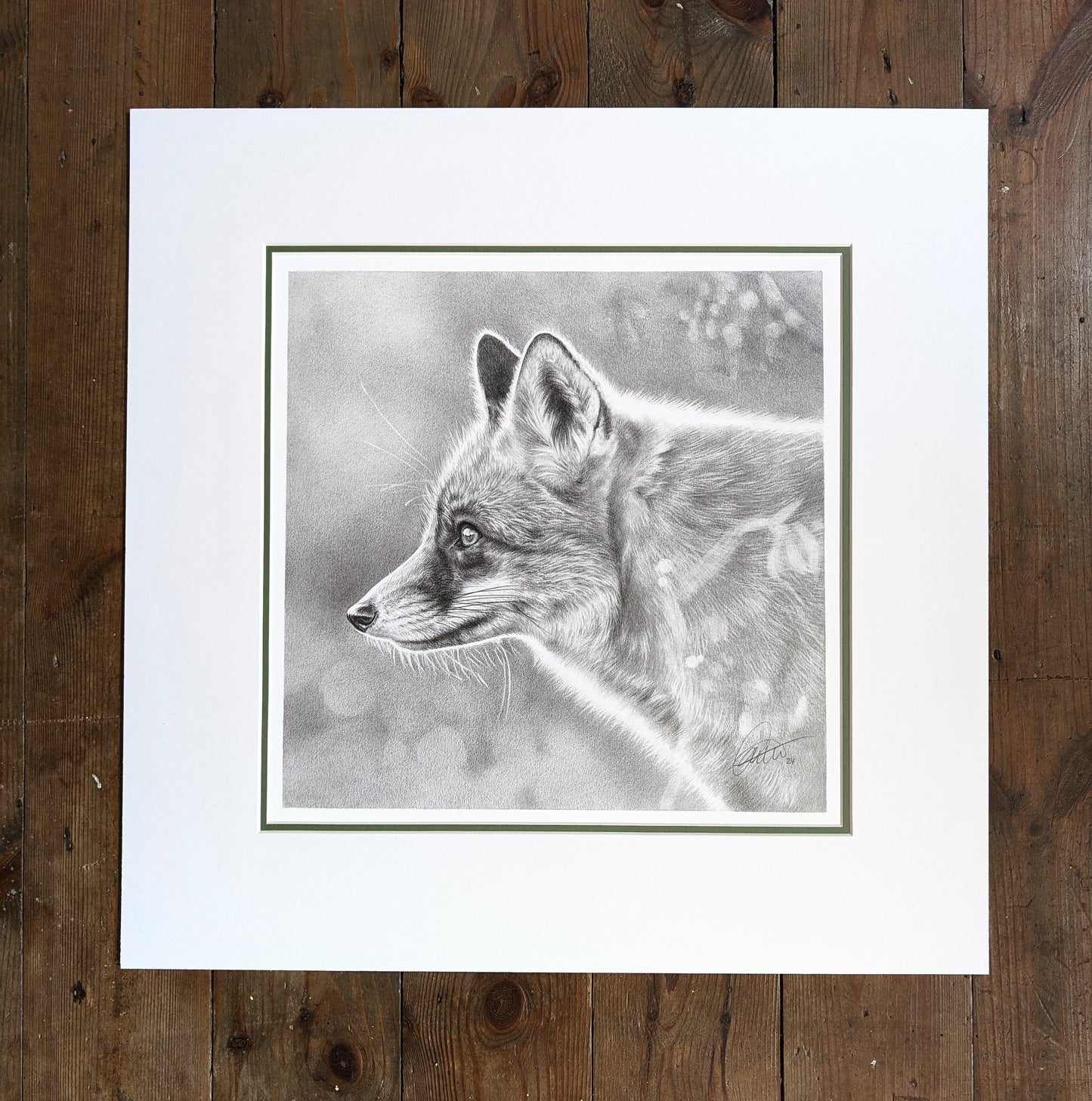 Fox Study Mounted *Original*