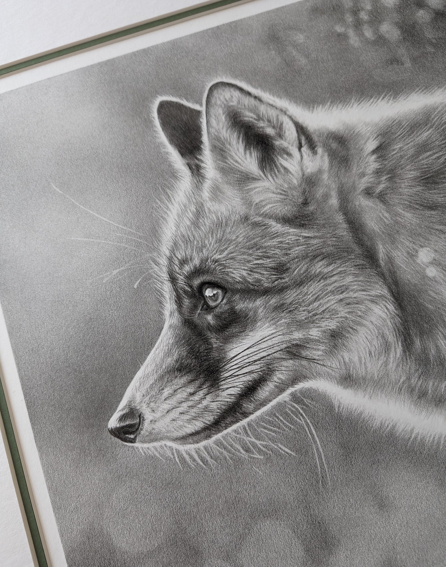 Fox Study Mounted *Original*