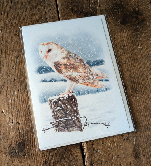 Barn Owl Greeting Card