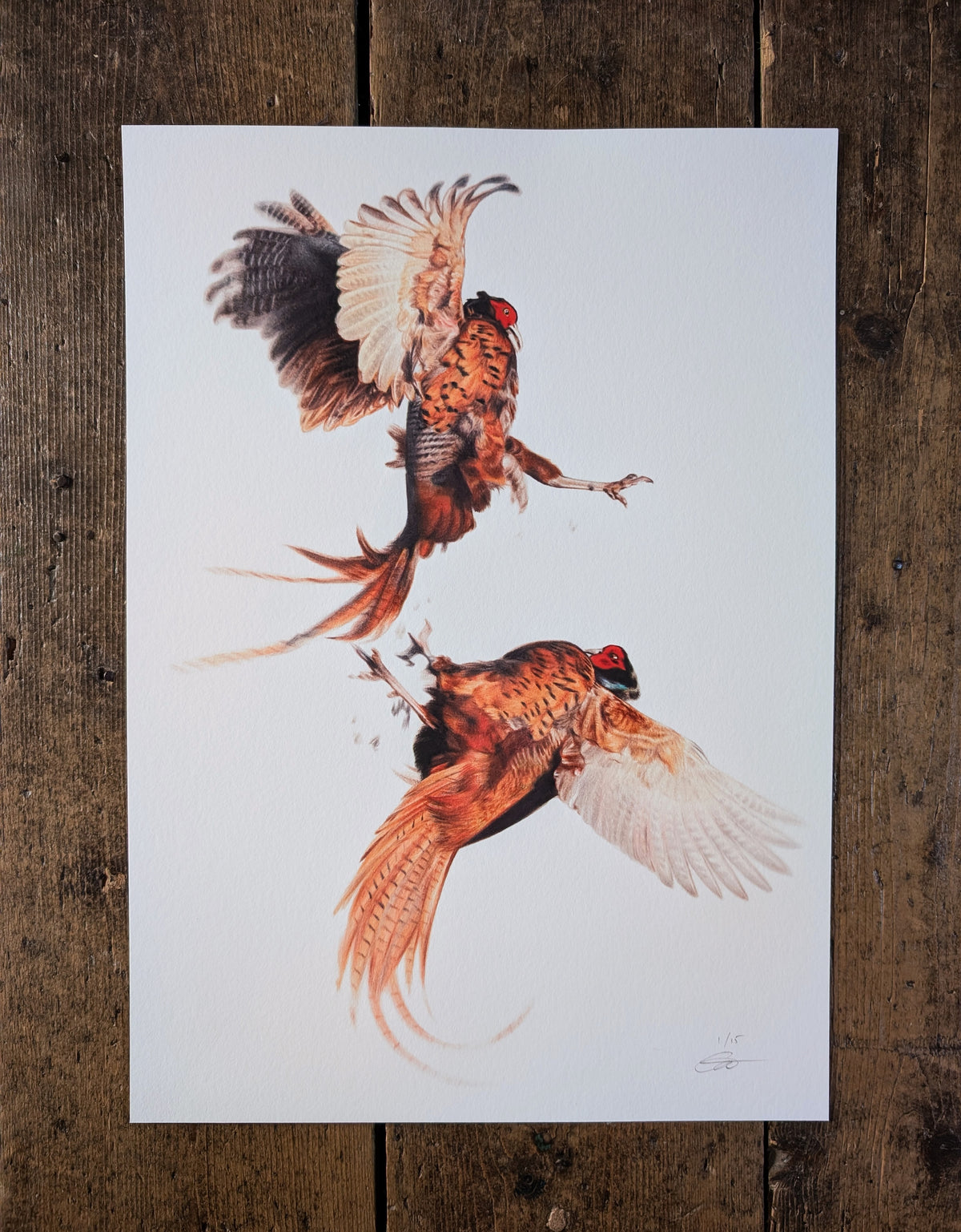 "The Tussle" Print