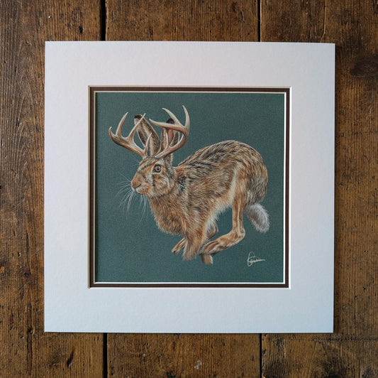 Jackalope *Original*